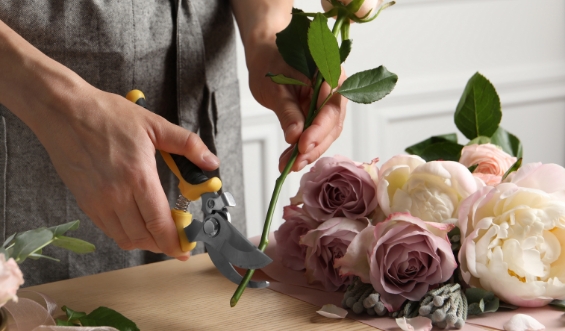 Schnittblumen Schnittblumen